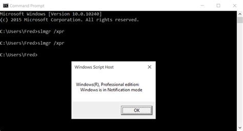 Script to check if windows is activated